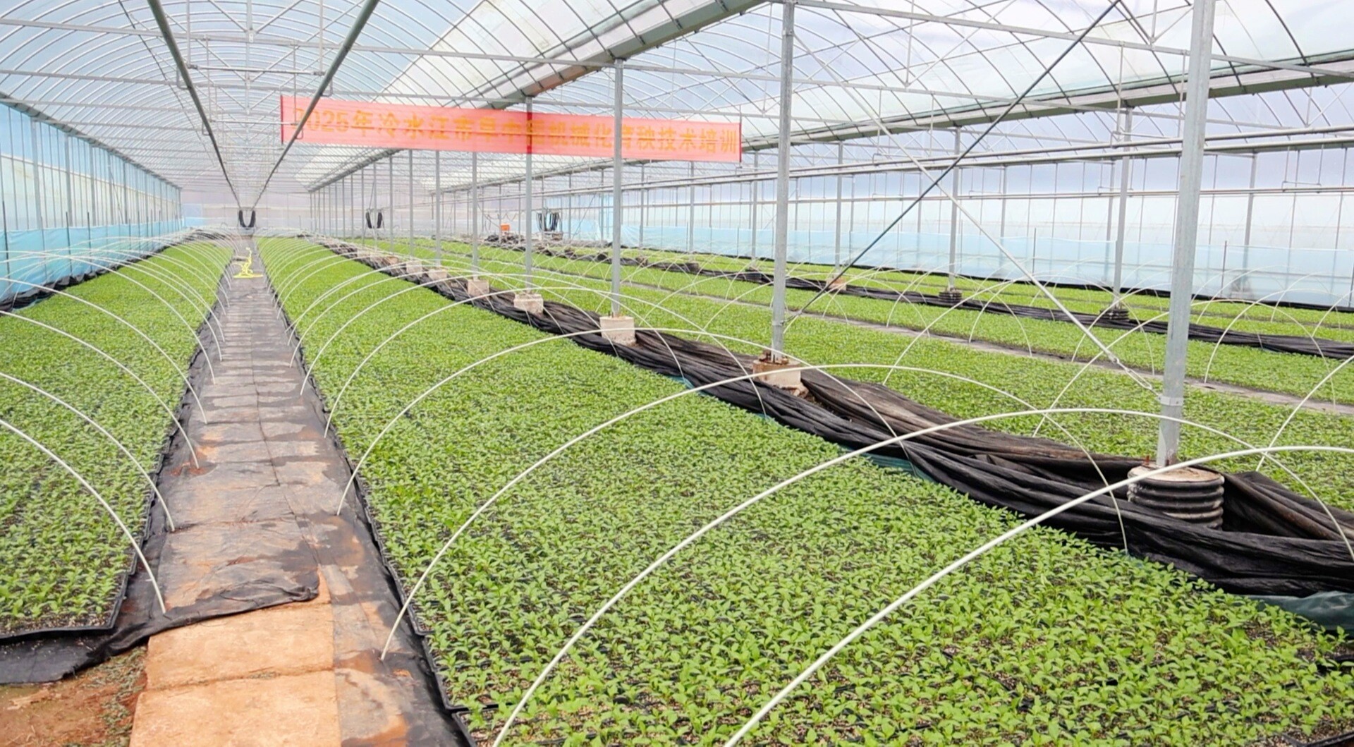 非凡“十四五”·锑都答卷（三） 冷水江：党建引领 激活乡村善治新动能