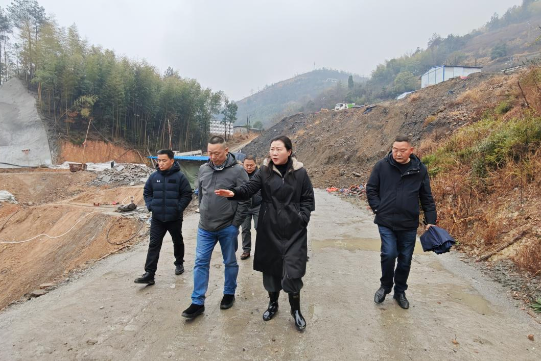 新春走基层 | 陈卫红调研振宏水库项目后续建设相关工作