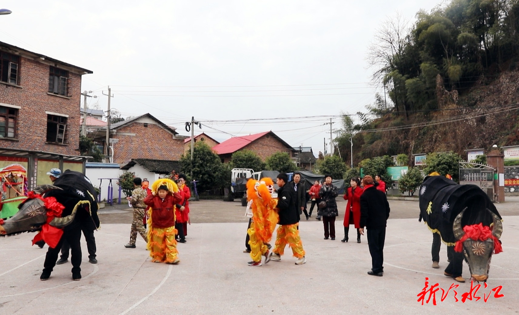 新春走基层 | 沙塘湾街道：舞动“春牛”祈丰年 老街非遗年味浓