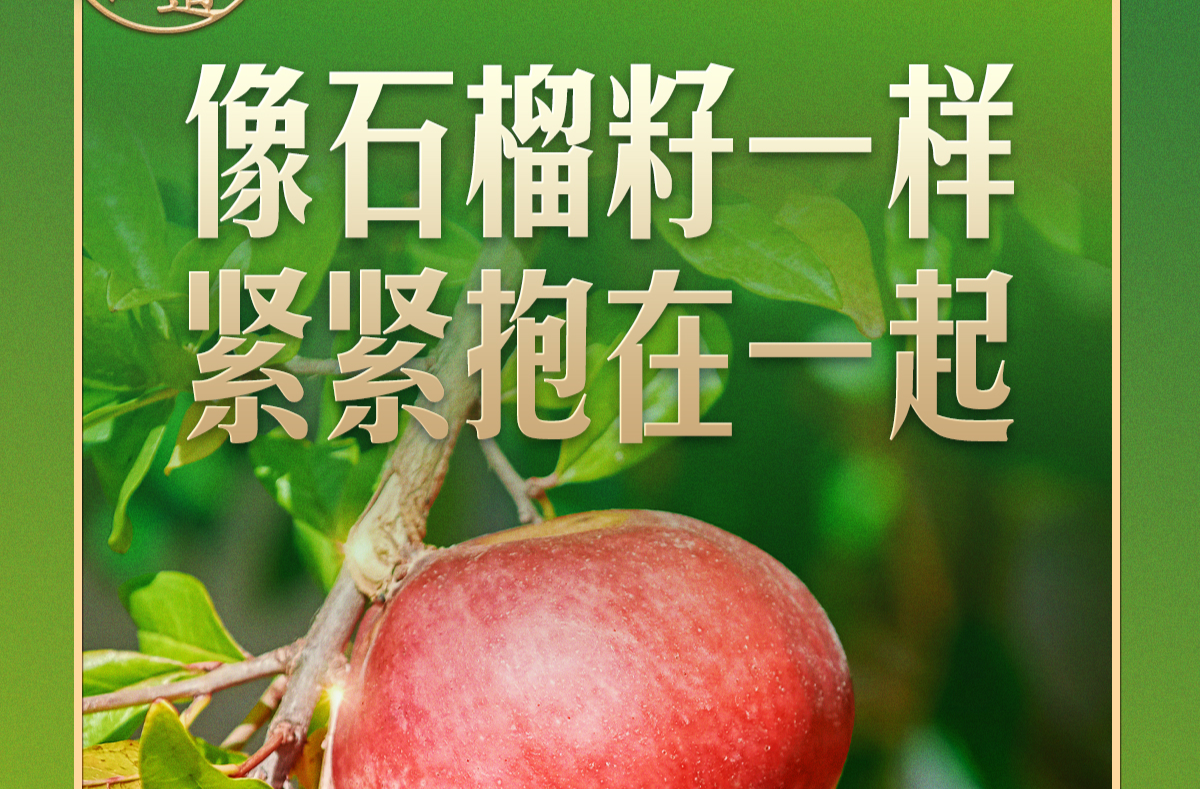 习言道｜“石榴籽”之喻，有了坚实的法治保障