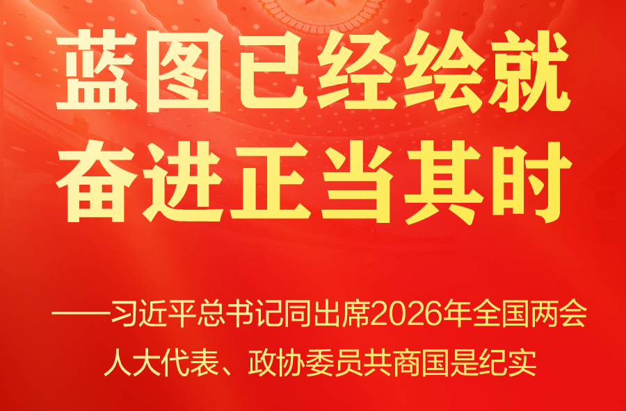 习近平总书记同人大代表、政协委员共商国是纪实