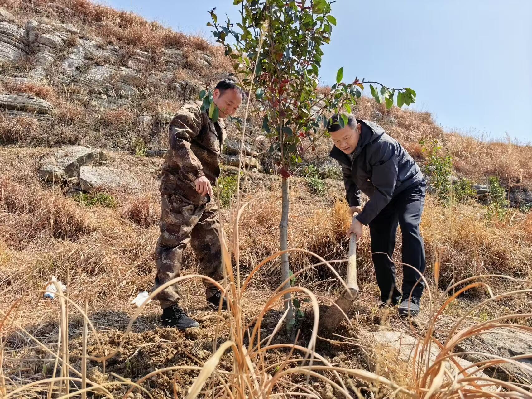 冷水江锡矿山街道开展“新兵共植‘强军林’”义务植树活动