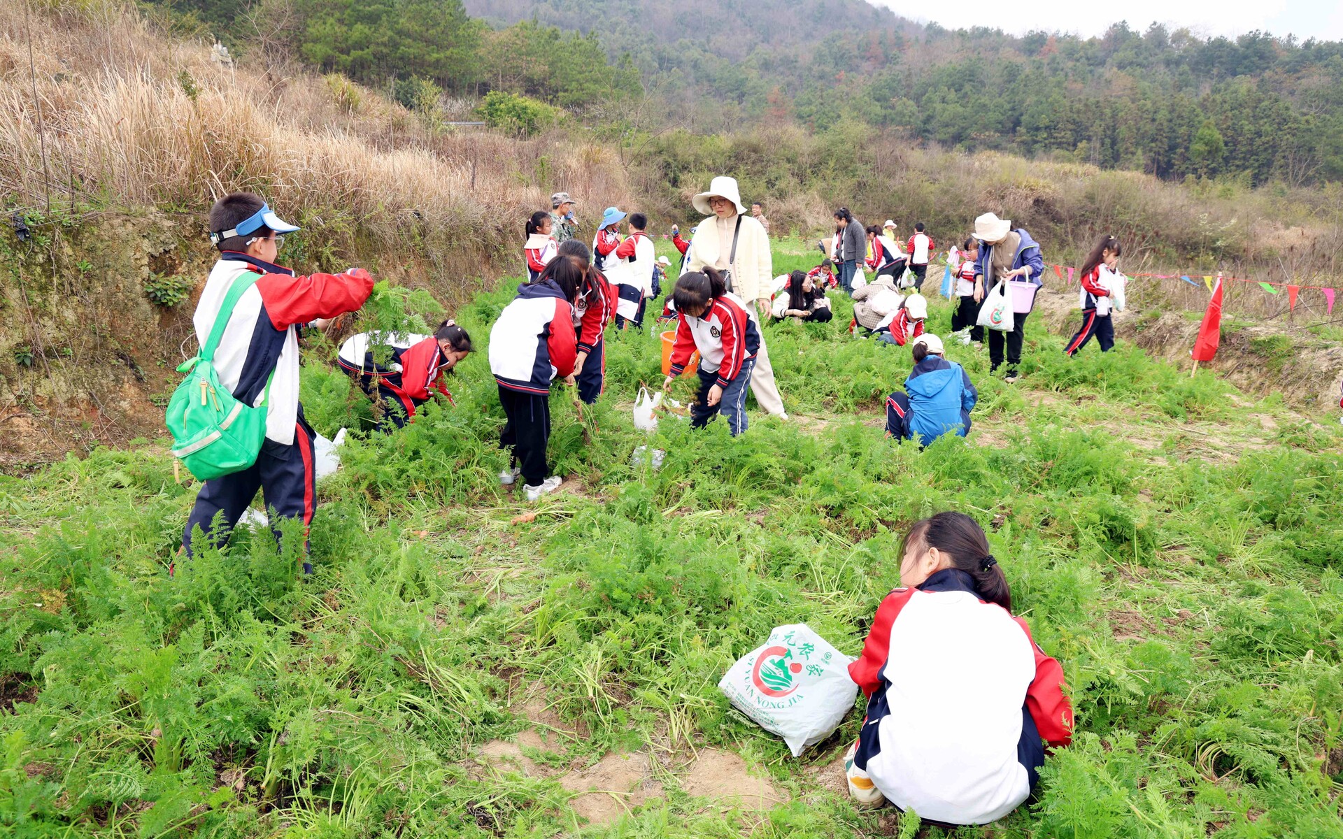 春染泗元农场 童心“植”绿耕读忙