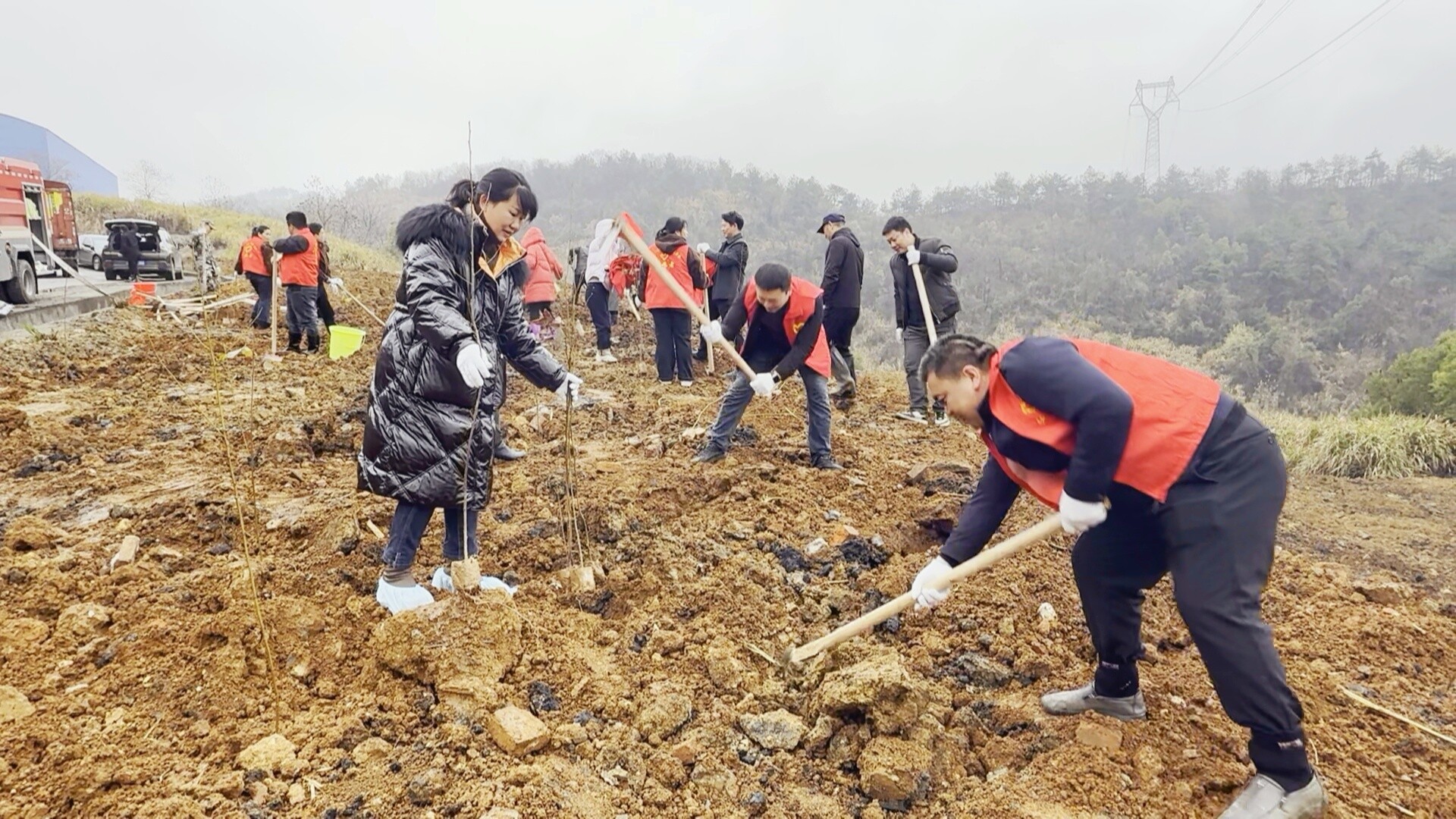 冷水江街道开展义务植树活动