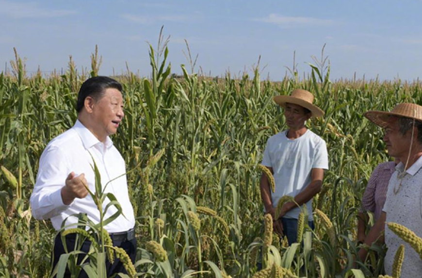 时政微观察丨政绩之本，在于为民