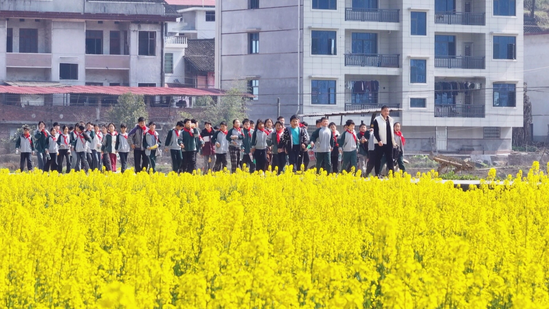 冷水江：油菜花海里的“春天课堂”