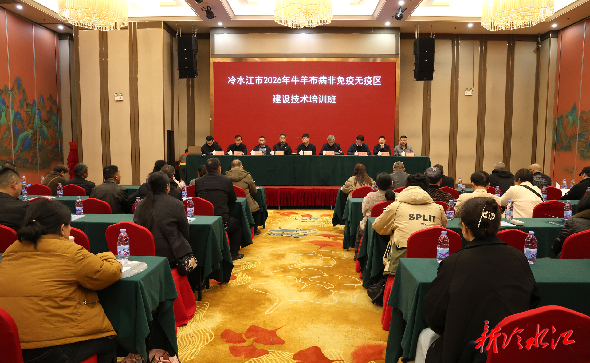 畜农视线 | 我市举办牛羊布病非免疫无疫区建设技术培训班