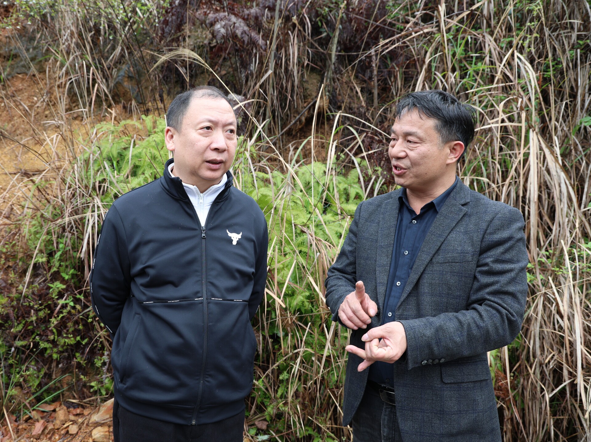 孙纬辉赴铎山镇巡林