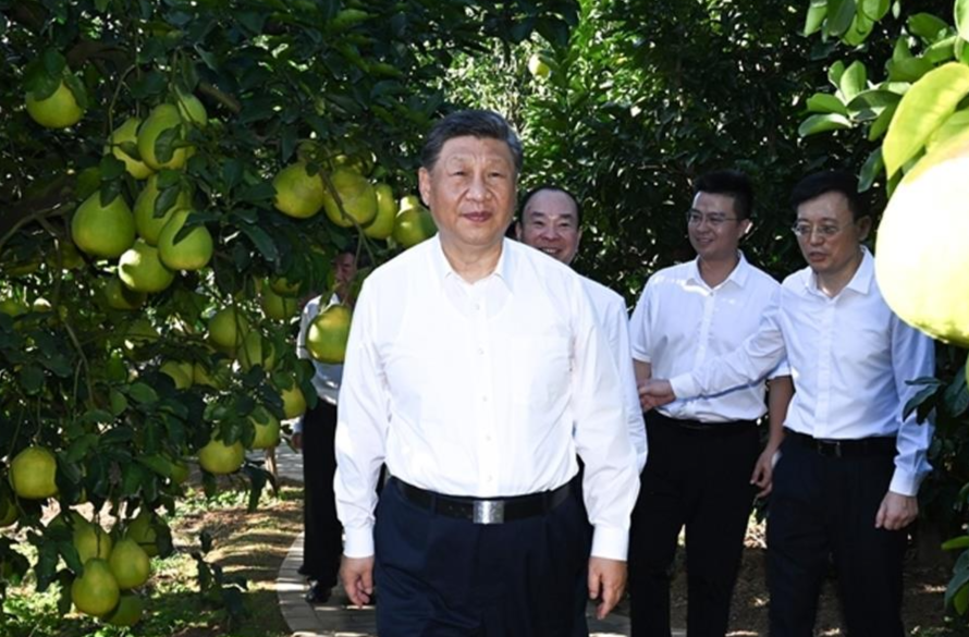 时政微观察丨科学决策，为人民出政绩