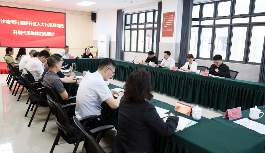 李定桥来冷参加代表集体进站活动  人大代表要当好安全生产的“宣传员、监督员、代言人”