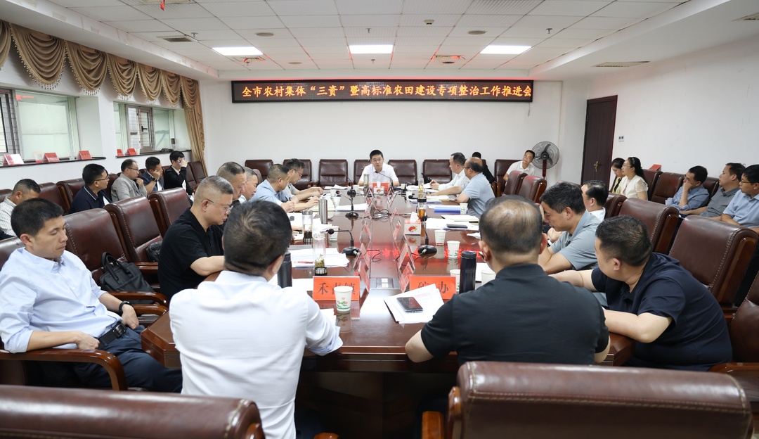 冷水江召开农村集体“三资”暨高标准农田建设专项整治工作推进会议