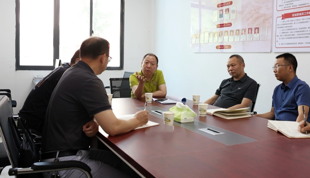 孙纬辉到乡镇街道开展人大工作专题调研
