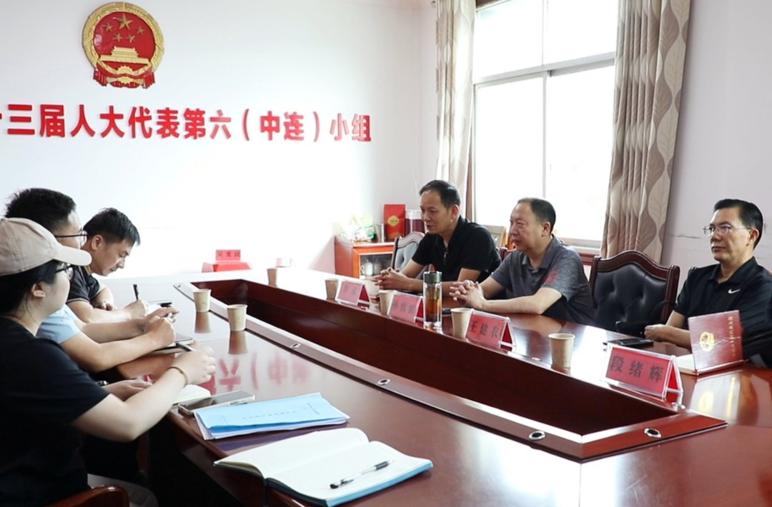 孙纬辉调研民生实事项目人大代表票决制工作