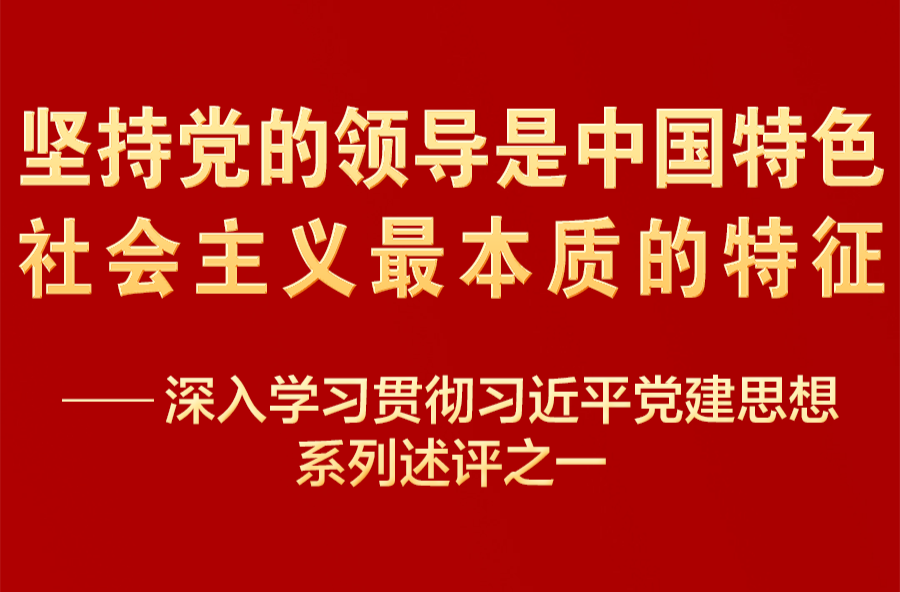 深入学习贯彻习近平党建思想系列述评之一