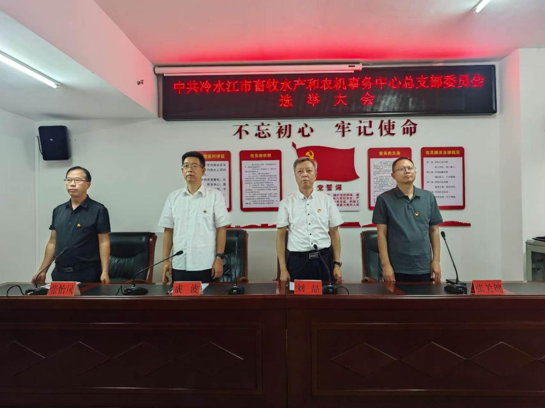 冷水江市畜农中心召开党总支委员会选举大会