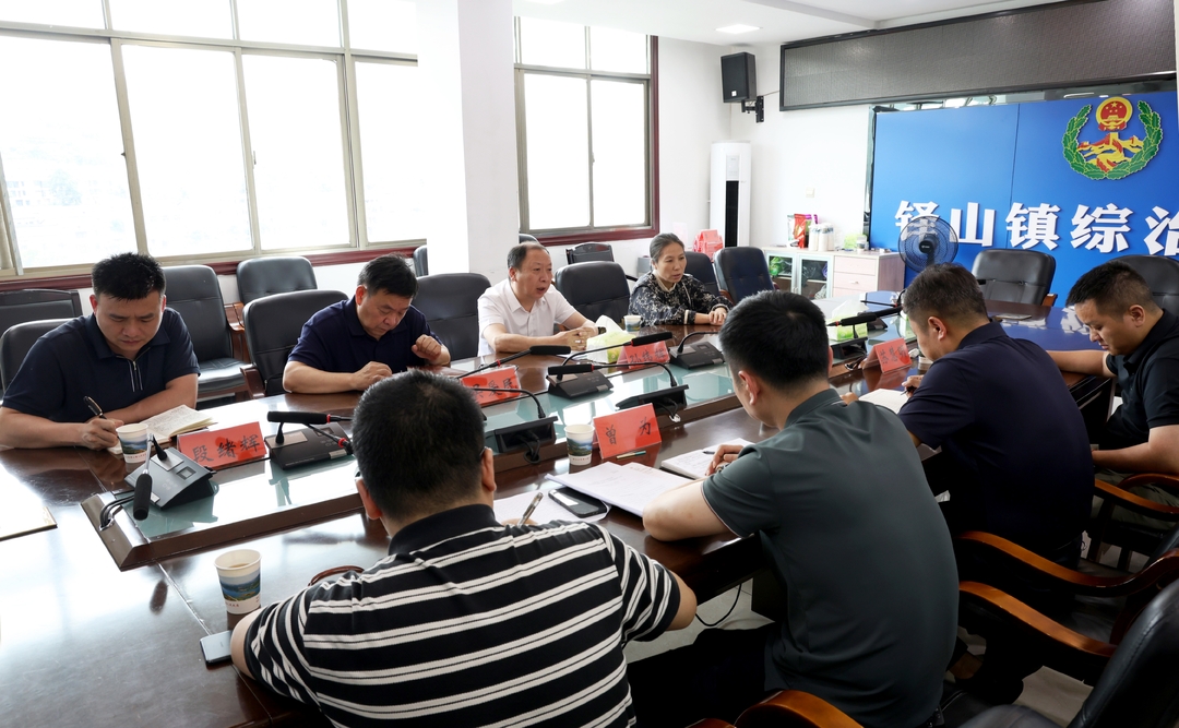 孙纬辉到冷水江市铎山镇调研指导人大工作