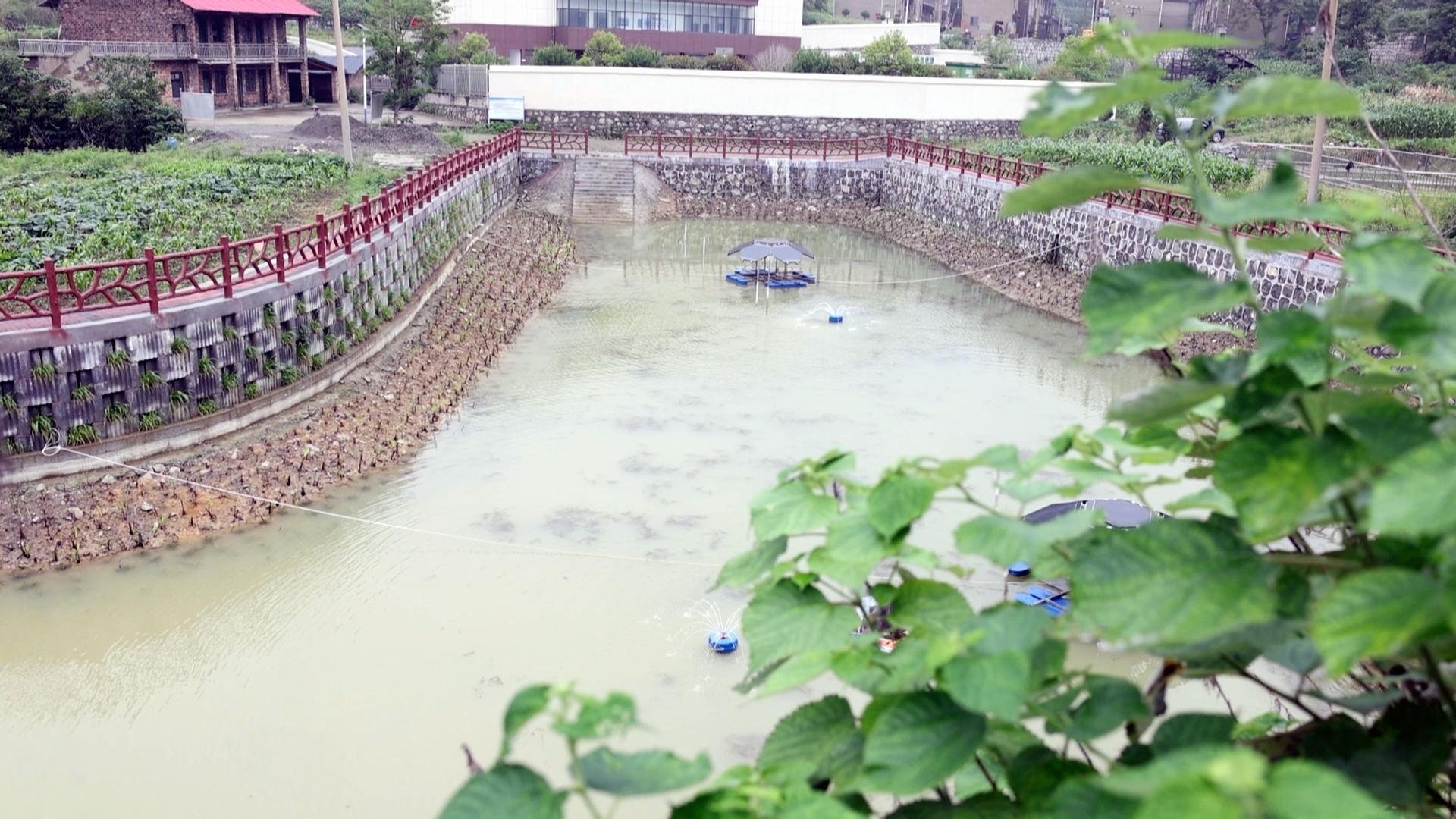 冷水江：10处“臭水塘”变身“景观塘”