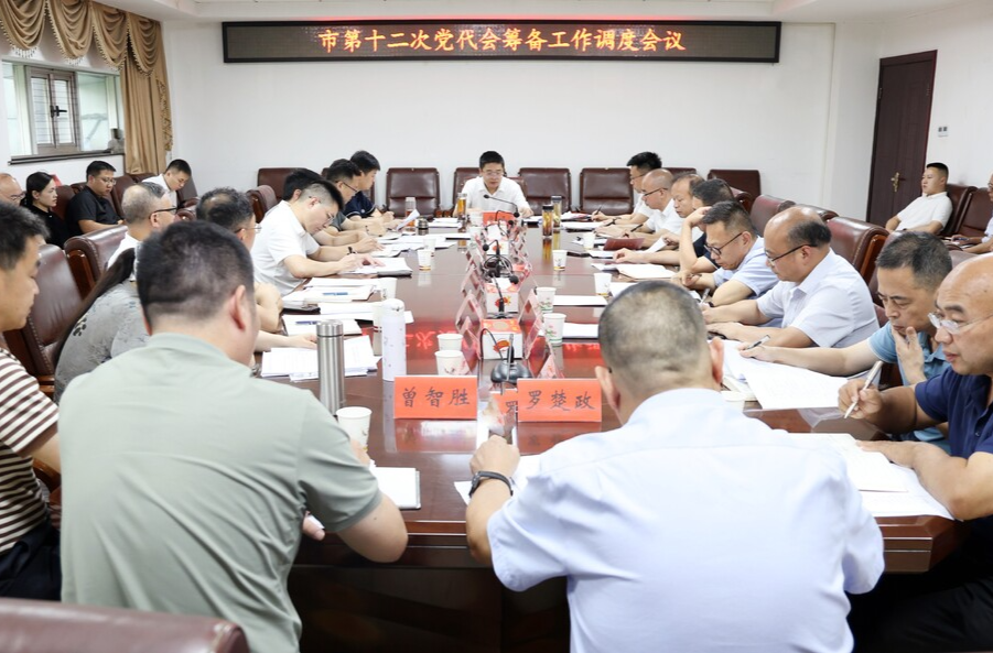 唐正调度冷水江市第十二次党代会筹备工作