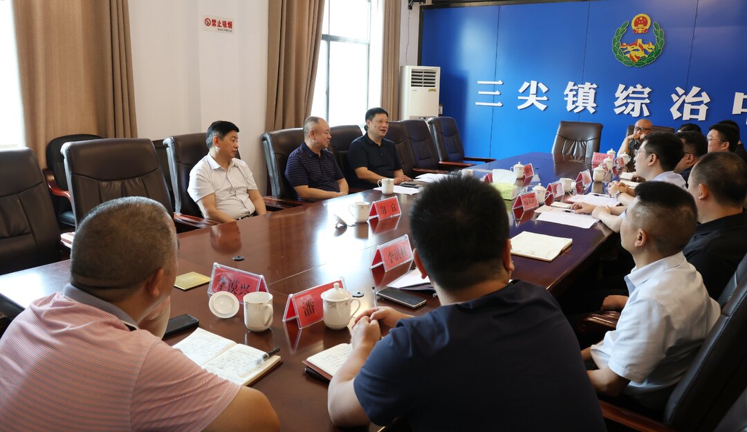 政协之窗丨市政协领导到三尖镇调研