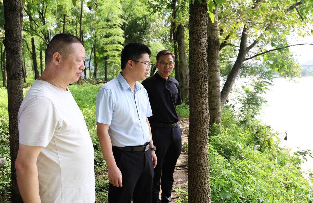 唐正率队调研督导防汛备汛、粮食生产工作并开展巡河