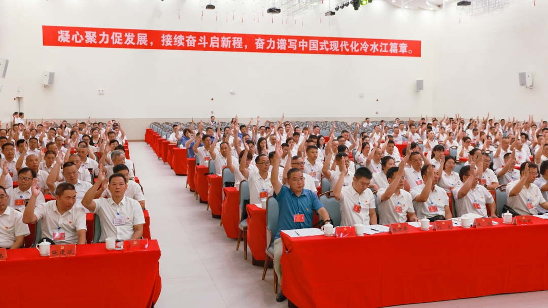 聚力锑都 | 冷水江市第十二次党代会举行第二次全体会议