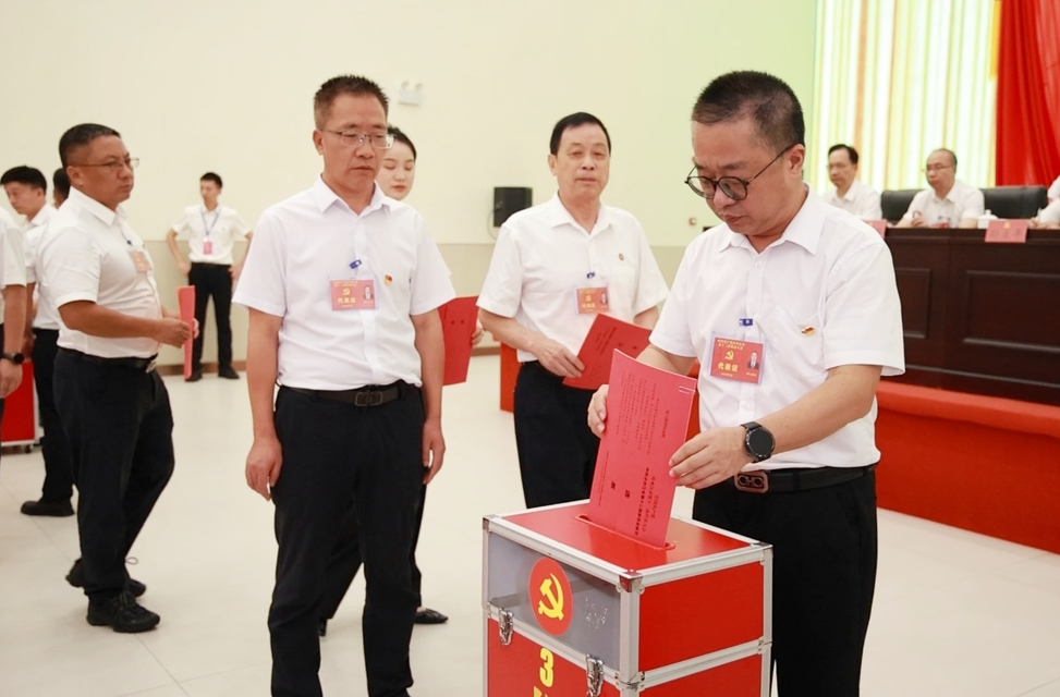 聚力锑都 | 冷水江市第十二次党代会举行第三次全体会议