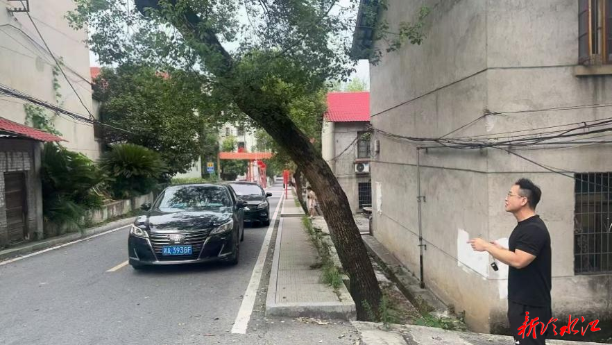 冷水江市沙塘湾街道政协委员工作室：牵头消除冷碱社区危树险情