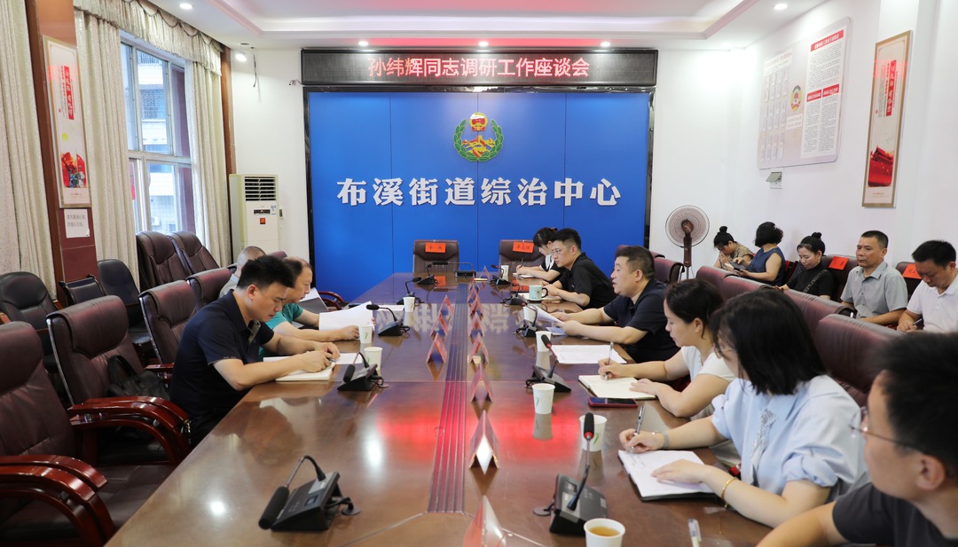 孙纬辉到布溪街道调研