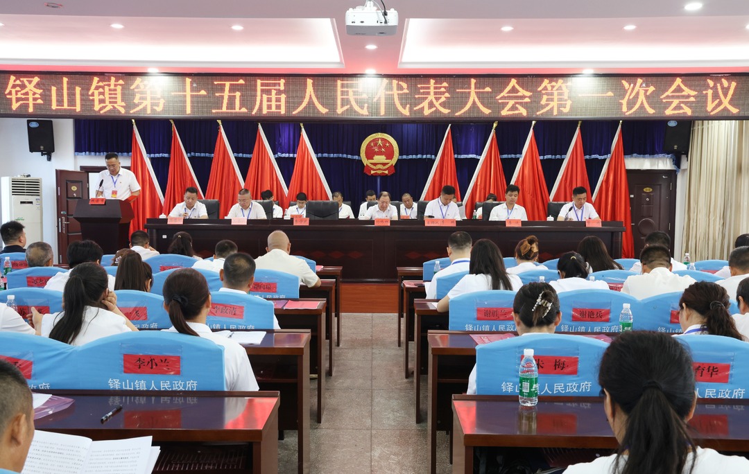 孙纬辉出席铎山镇第十五届人民代表大会第一次会议