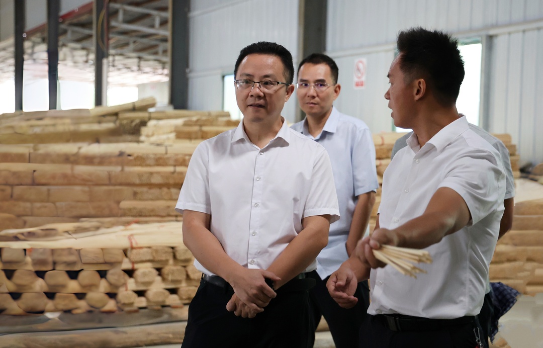 李文胜开展“摸实情、解难题、促发展、保安全”调研并巡林