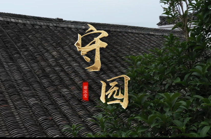 守园｜谢冰莹：烽火女兵，文坛传奇