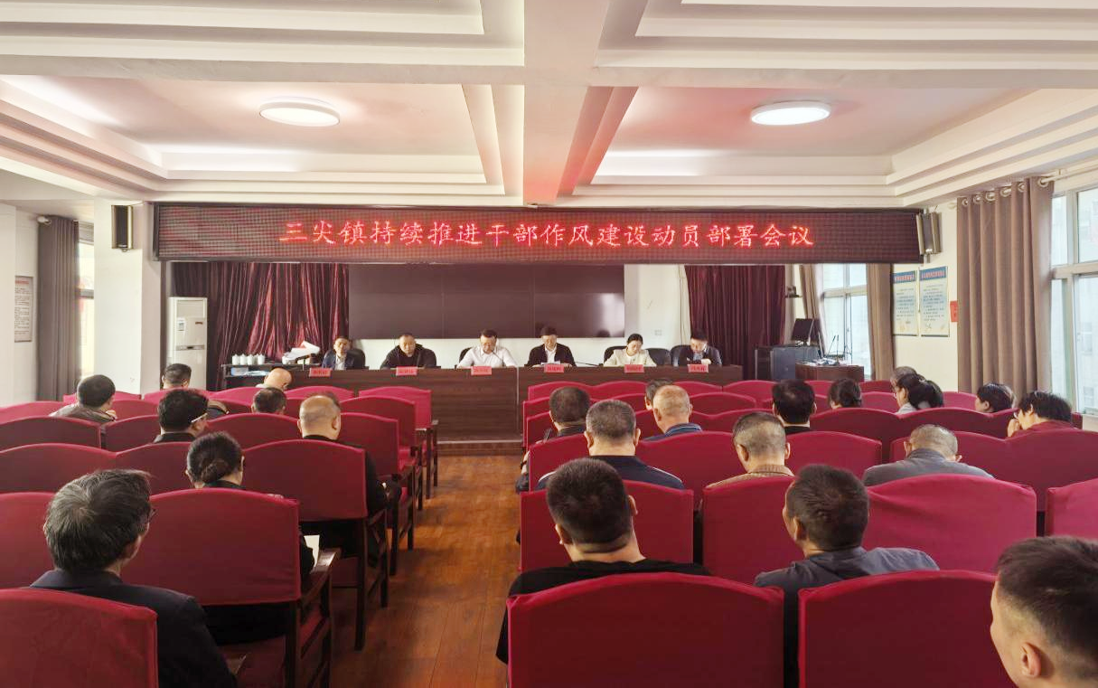 三尖镇扎实推进干部作风能力提升建设