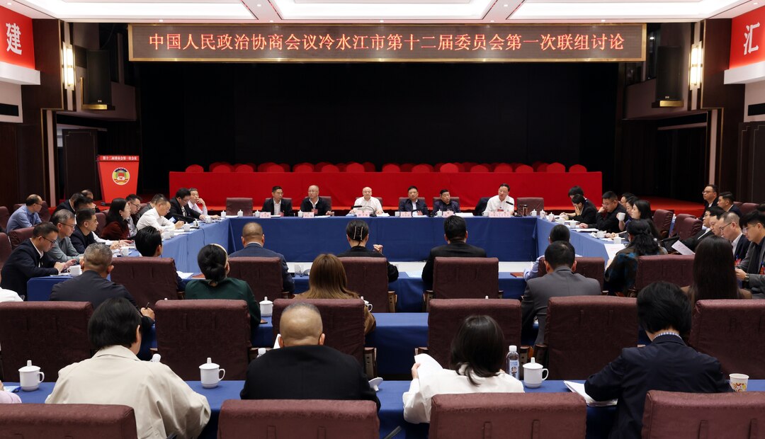 潮涌锑都丨市政协十二届一次会议举行第一次联组讨论