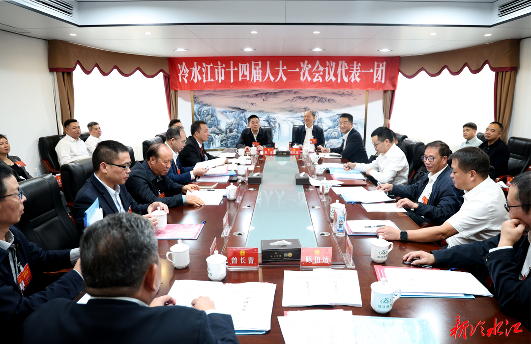 潮涌锑都 | 市十四届人大一次会议各代表团审查各项工作报告