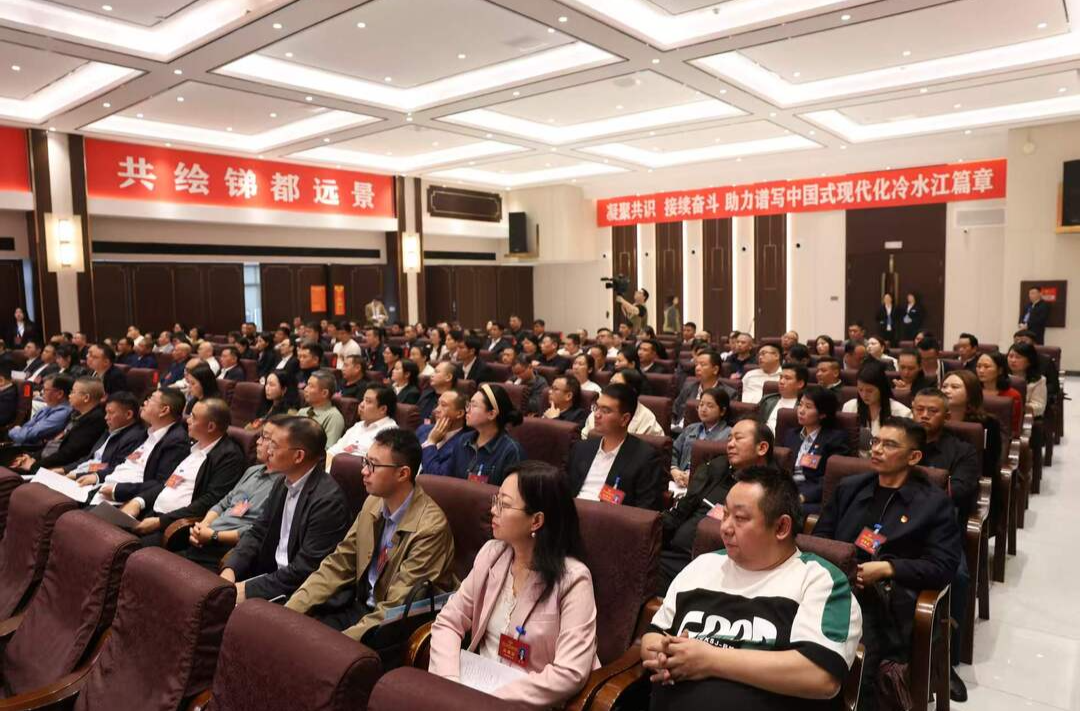 潮涌锑都 | 市政协十二届一次会议收到提案81件