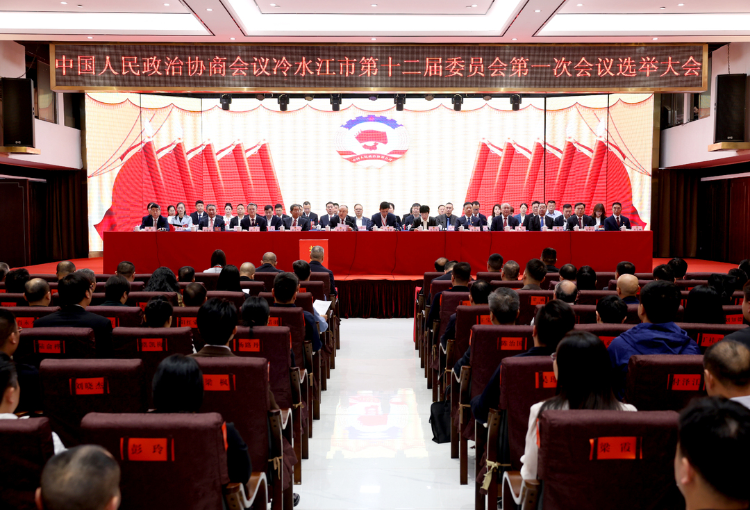 冷水江市新一届政协领导班子选举产生 李南新当选市政协主席