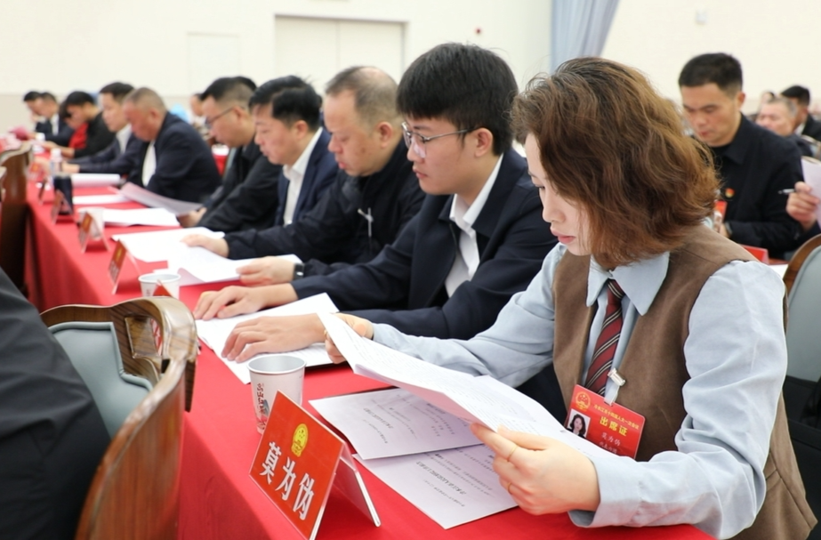 潮涌锑都 | 市十四届人大一次会议共收到建议139件