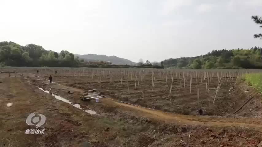 《普利橋種糧記》春耕篇 第七集 田邊豎起了“千里眼”