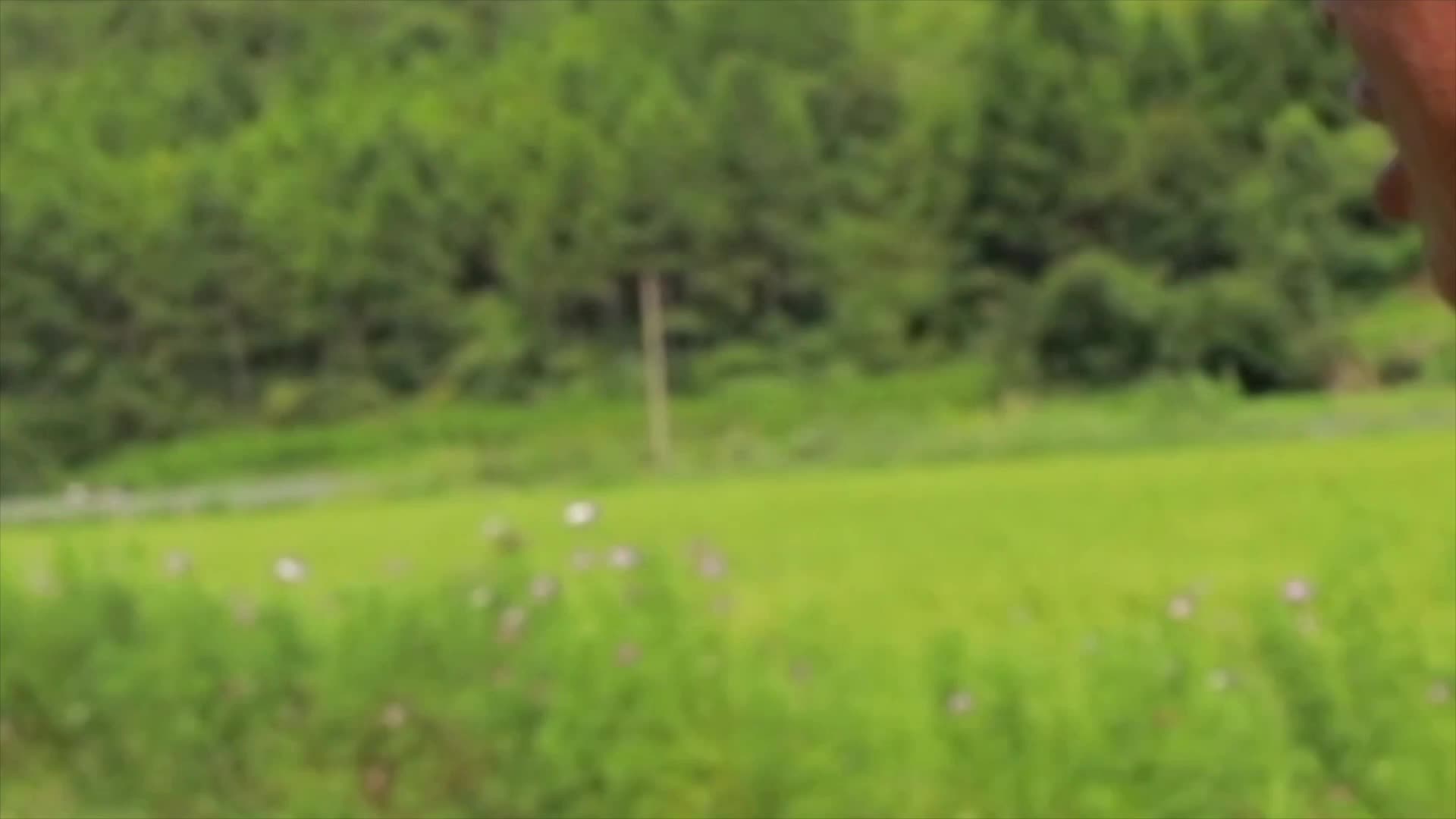 《普利橋種糧記·夏管篇》 第1集