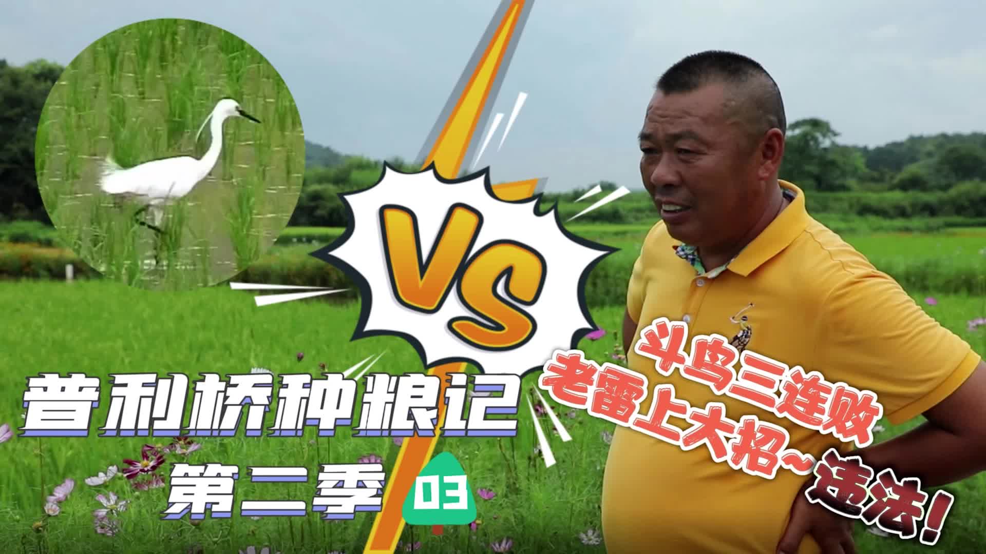《普利橋種糧記·夏管篇》第3集