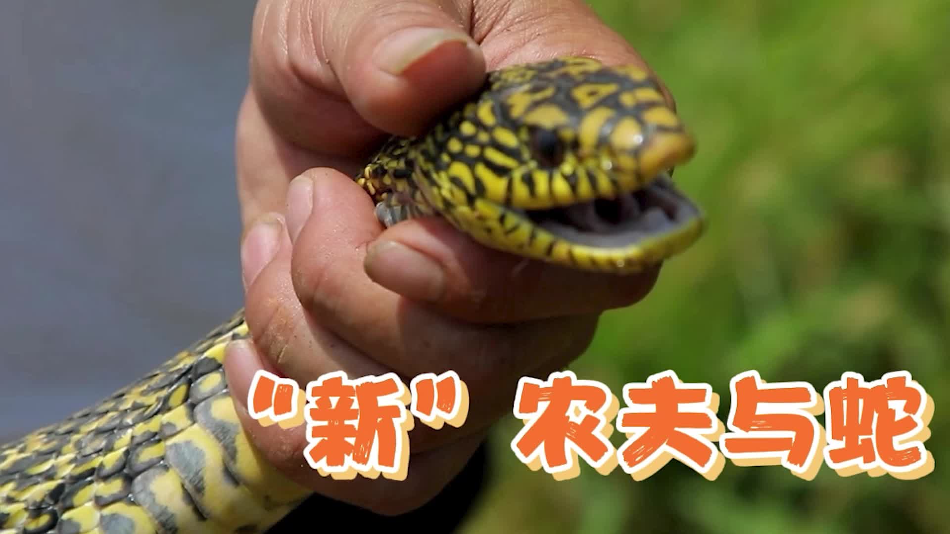《普利橋種糧記·夏管篇》第5集