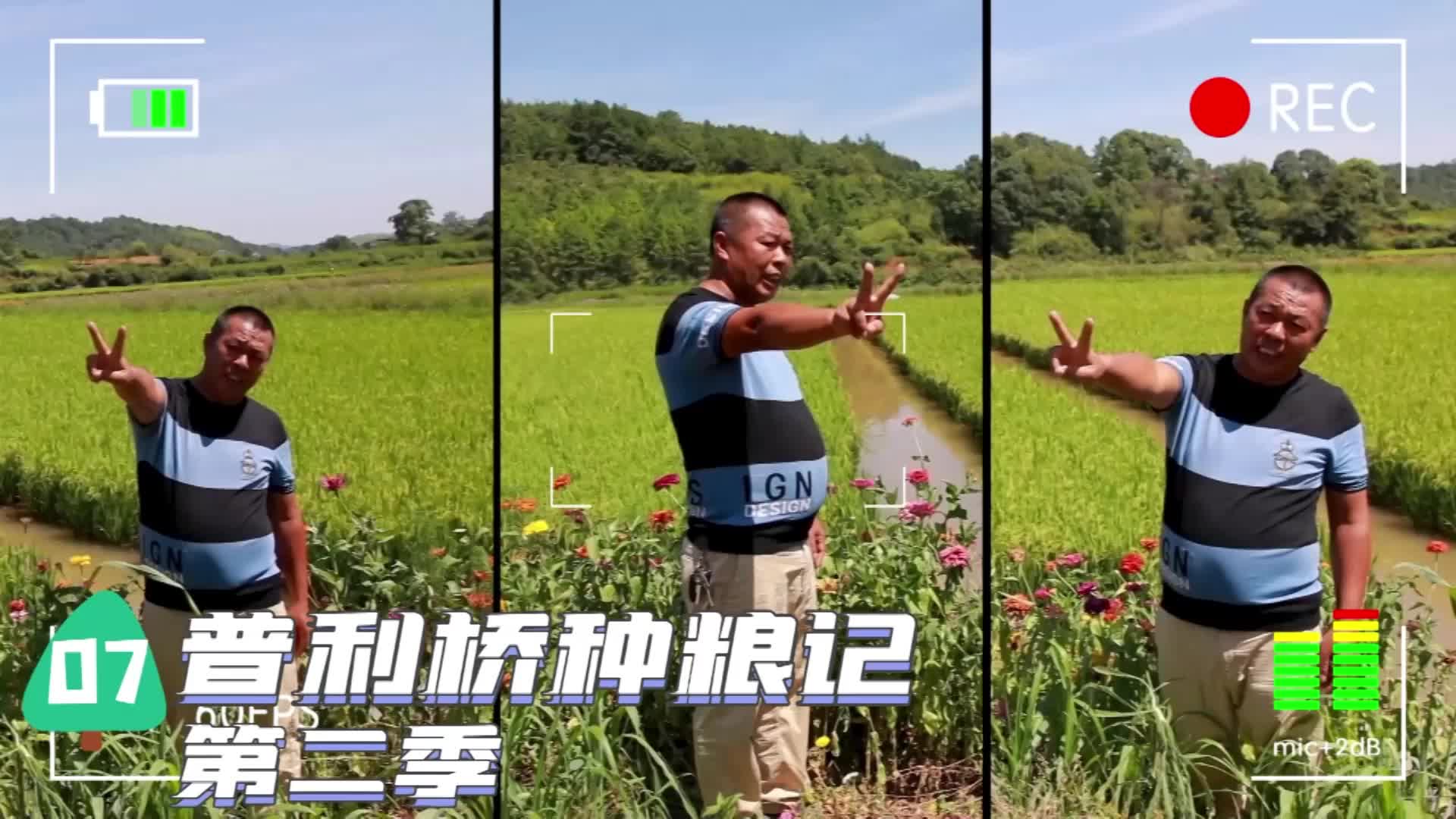 《普利橋種糧記·夏管篇》第7集
