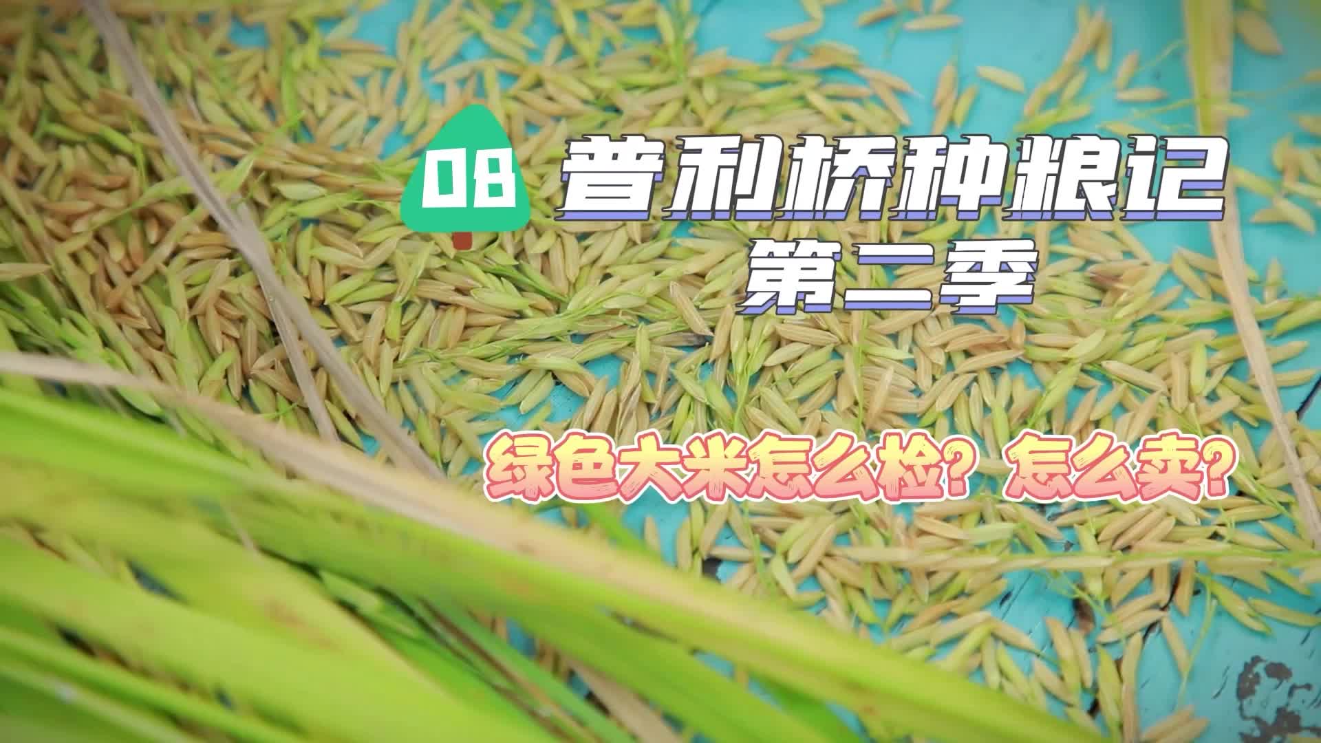 《普利橋種糧記·夏管篇》第8集