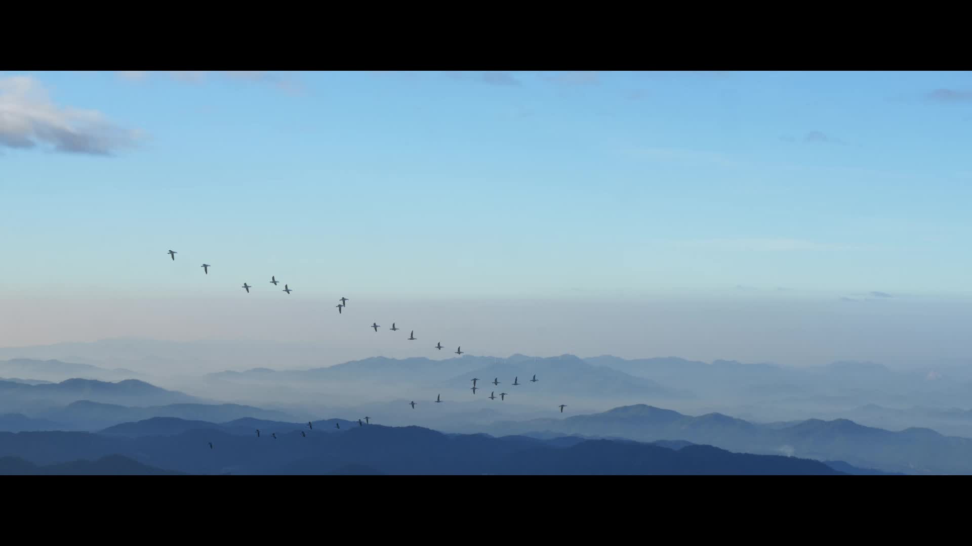 不打扰，共守护